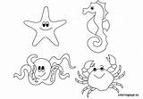 Sea Animals Coloring sketch template