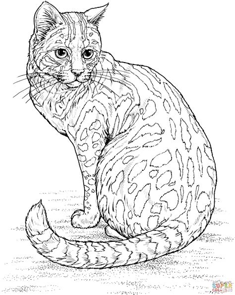 leopard cat coloring page  printable coloring pages cat