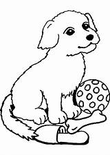 Hundewelpen Ausmalbilder Ausdrucken sketch template