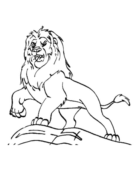 cartoon lion pictures  kids coloring home