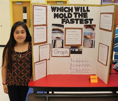 science fair projects   grade  place