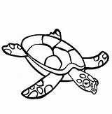 Coloring Turtle Pages Sea Crawl Discover sketch template