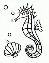 Coloring Seahorse Pages Printable Online Print Drawing Line Getdrawings Everfreecoloring sketch template