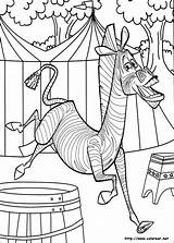 Madagascar Colorir Marty Zebra Ausmalbilder Disegni Colorare Colorat Cirque Coloriages P59 Malvorlagen Ausmalen Immagini Planse Circo Planetadibujos Animaatjes Primiiani Malvorlage sketch template