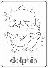 Dolphin Coloring Pages Printable Cute Choose Board Animal sketch template