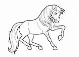 Horse Rocking sketch template