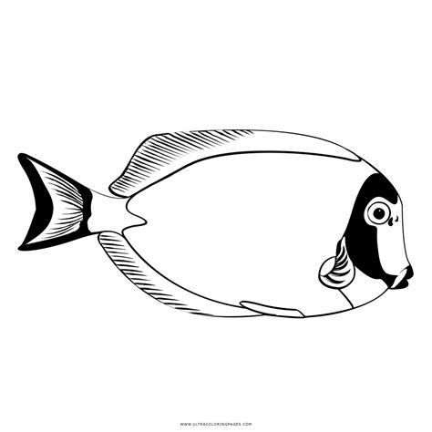 tropical fish coloring pages bilscreen