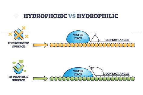 hydrophobic  hydrophilic surface effect  water drop outline diagram