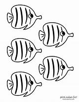 Fishes Printables Printcolorfun sketch template