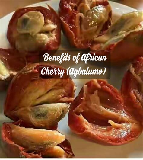 health benefits of cherry agbalumo in pregnancy nigerian health blog
