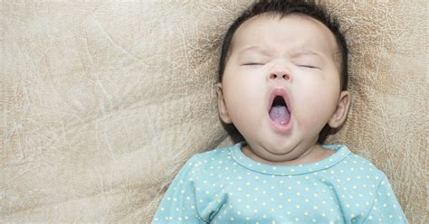 6 Things You Probably Dont Know About Yawning Huffpost Life