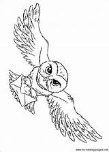 Malvorlage Zaubertrank Hedwig Eulen sketch template