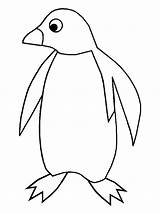 Penguin Coloring Pages Sheets Kids Coloringkids sketch template