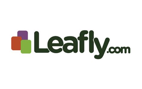 leafly review  soloweed