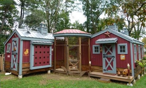 inspiring urban chicken coop designs home design