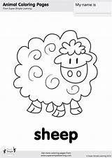 Macdonald Sheep Loudlyeccentric Supersimple Supersimplelearning sketch template