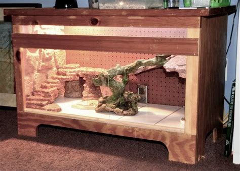 bearded dragon vivarium furniture dyi projects pinterest