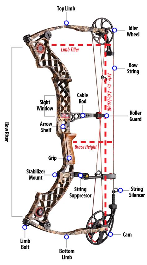 compound bow diagram bowhuntingcom