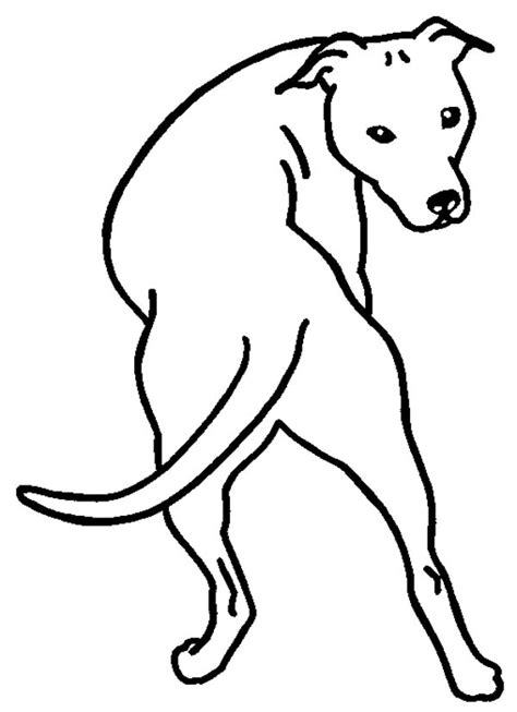 pitbull   coloring page coloring sky