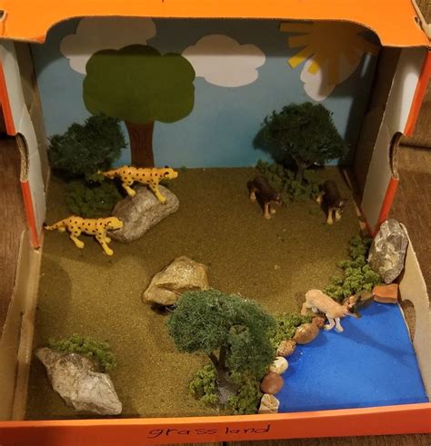 savanna grassland biome diorama project