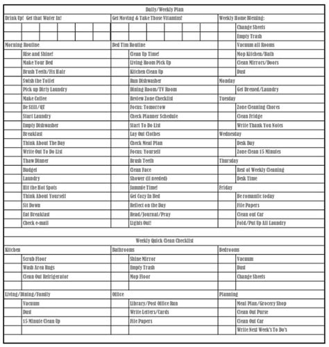 daily  weekly detailed cleaning checklist editable  file