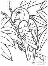 Parrot Tropical Coloring Bird Color Print sketch template