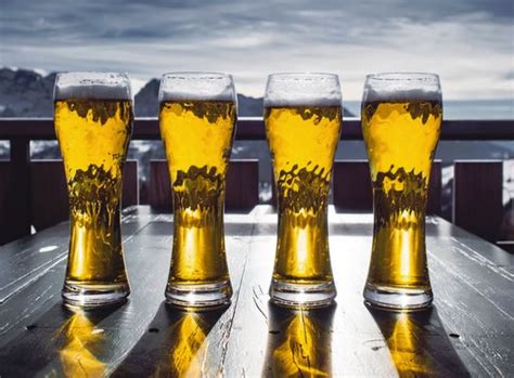 moderate beer intake   surprising advantage   brain psyblog