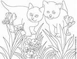 Coloring Pages Animal Animals Sample Fall Friends Printable Books Book Gif sketch template