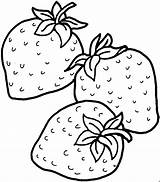 Erdbeeren Trinken Ausmalbilder Strawberries Verduras Malvorlagen sketch template