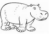 Coloring Hippopotamus Hippo Christmas Pages Kids sketch template