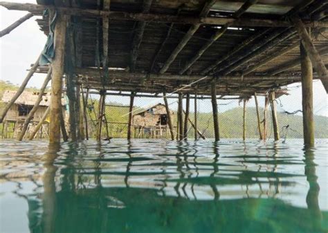 rumah bajo laut