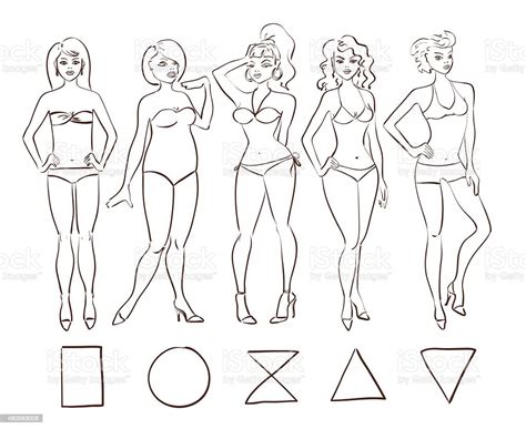 Sketch Set Of Isolated Female Body Shape Types Stock Vector Art