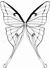 Moth Coloring Lunar Designlooter Synchro Halo Tattoostime sketch template