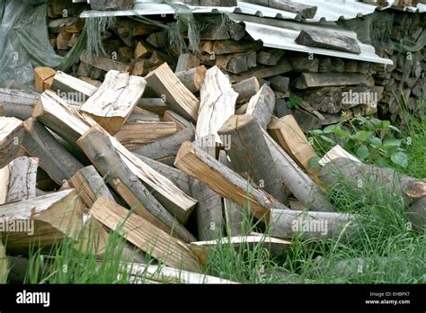 wood stock stock photo alamy