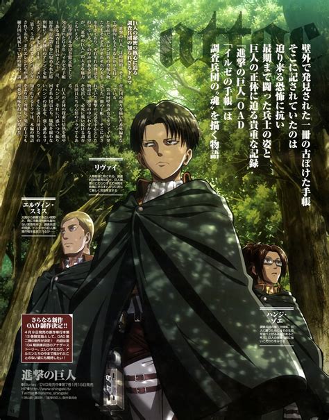 Shingeki No Kyojin Erwin Smith Hanji Zoe Levi Uniform