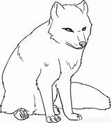 Vulpe Arctic Colorat Planse Colering Desene Artic Dragoart Animal Animale sketch template