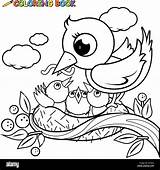 Nido Uccelli Nest Colorare Vogel Carino Malvorlage Malvorlagen Niedlichen Buch sketch template