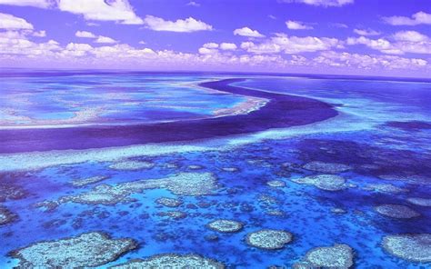 great barrier reef australia places    visit