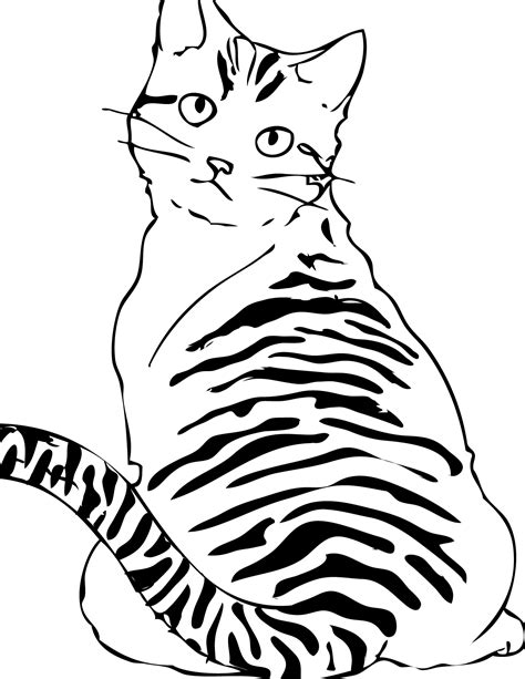 printable cat coloring pages  kids kitten coloring page art