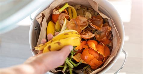 food waste essensreste einfach und clever vermeiden amc