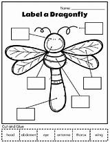 Bug Activities Preschool Printable Worksheets Insects Kids Kindergarten Learning Fun Insect Bugs Dragonfly Study Worksheet Theme Crafts Simpleeverydaymom Unit Games sketch template
