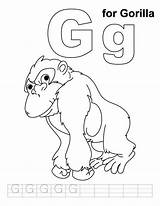 Gorilla Coloring Pages Letter Phonics Kids Handwriting Practice Preschool Sheet Letters Craft Zoo Gordo Animal Color Animals Colouring Sheets Alphabet sketch template