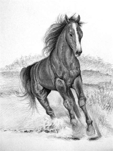 tutorial   draw  horse