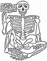 Skeleton Coloring Pages Halloween Kids Human Body Printable Bones Drawing Dinosaur Anatomy Skeletons Color Print Fossil Systems Axial Sheets Sheet sketch template