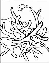 Seaweed Coloring Pages Printable Clipartbest Via sketch template