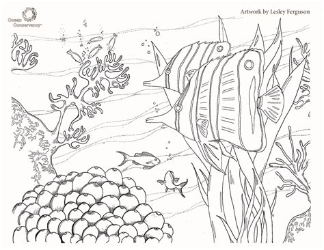 sustainable fisheries fish coloring pages ocean conservancy