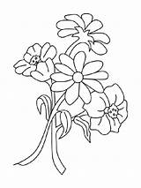 Large Coloring Pages Flowers Print Color sketch template