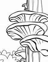 Coloring Mushroom Pages Cartoon Mushrooms Printable Color Getcolorings Tree Print Adult sketch template