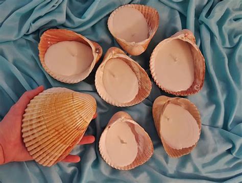 heart cockle seashell and natural soy unscented candles beach wedding beach decor bulk or