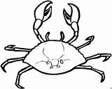 Krebs Pintar Cangrejos Cangrejo Caranguejo Animais Oben Siri Crabs Ausmalbild Caranguejos Malvorlagen Marinos Peruano Verkleinert Angezeigt Baixarada Outubro Qdb sketch template